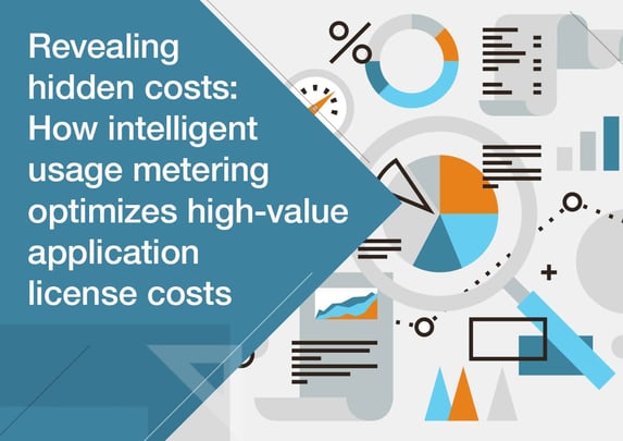 Revealing Hidden Costs: How Intelligent Usage Metering Optimizes High-Value Application License Costs image